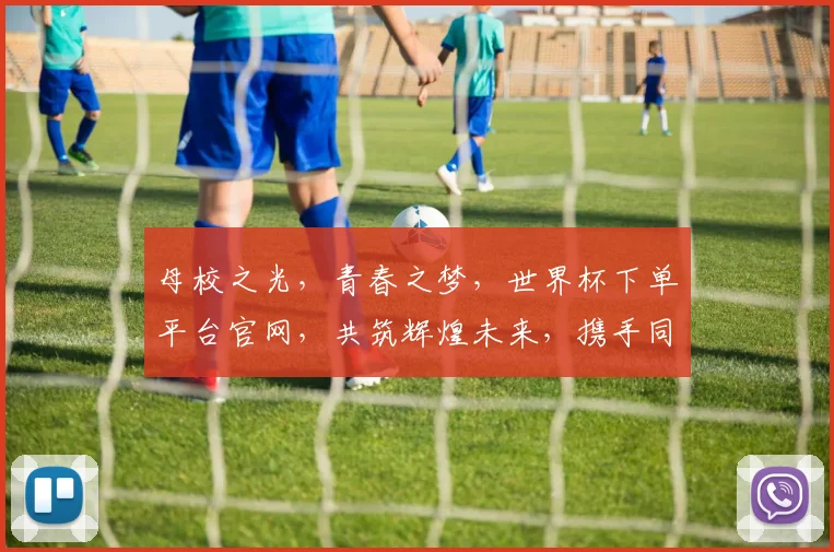 母校之光，青春之梦，世界杯下单平台官网，共筑辉煌未来，携手同行，共创辉煌
